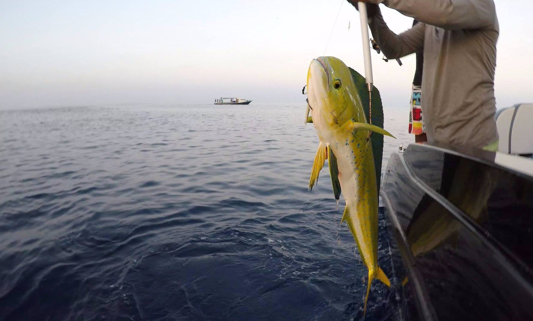 MALDIVES FISHING - Fishing Trips